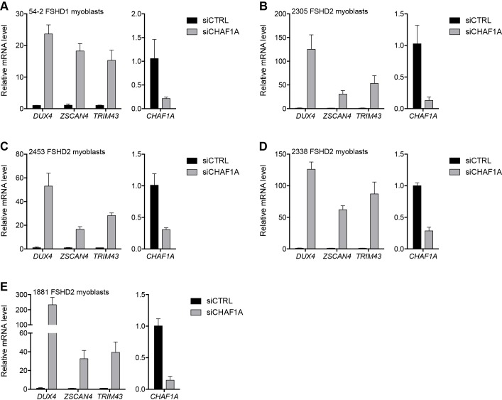 Figure 3—figure supplement 6.