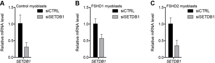 Figure 4—figure supplement 2.