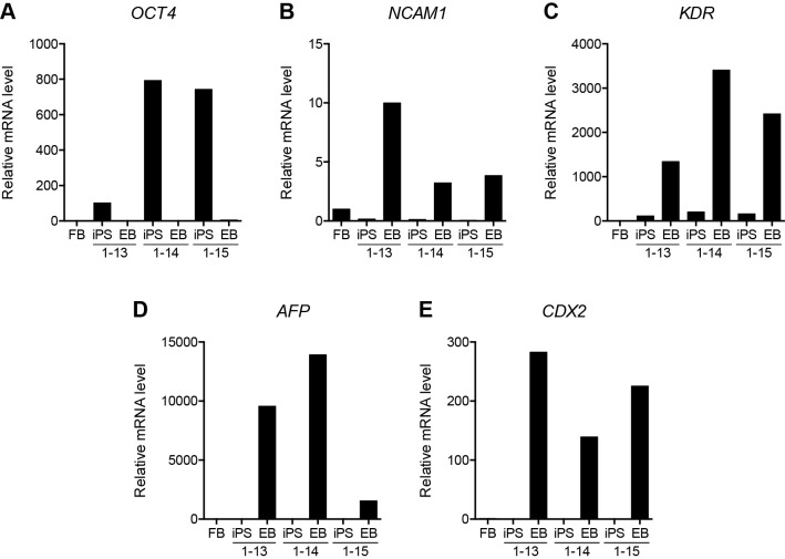 Figure 5—figure supplement 2.