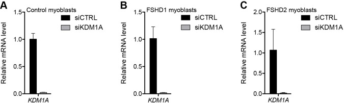 Figure 4—figure supplement 3.