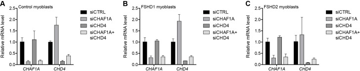 Figure 3—figure supplement 3.