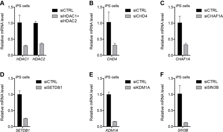 Figure 5—figure supplement 1.