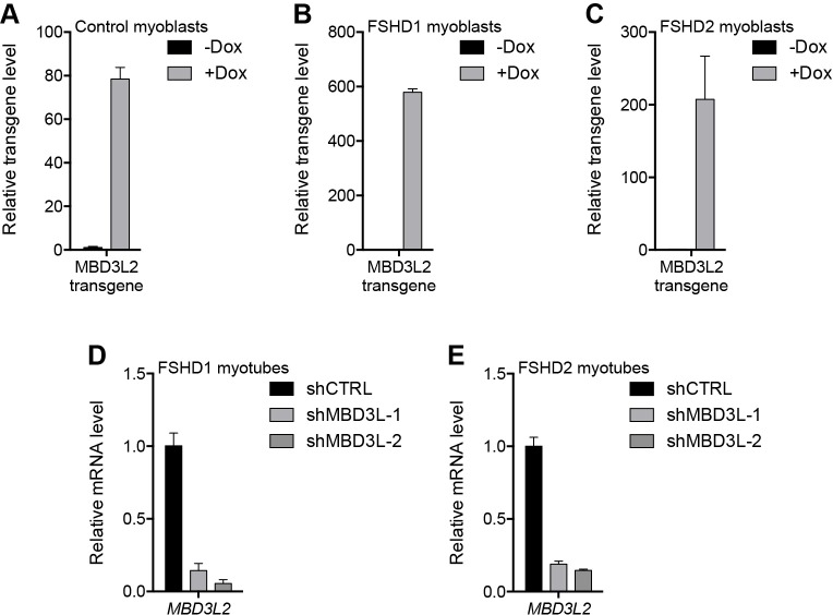 Figure 6—figure supplement 1.