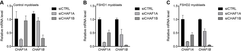 Figure 3—figure supplement 1.