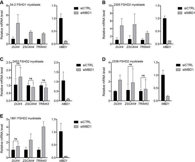 Figure 3—figure supplement 7.