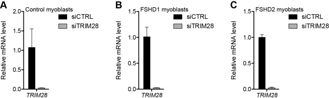 Figure 4—figure supplement 1.