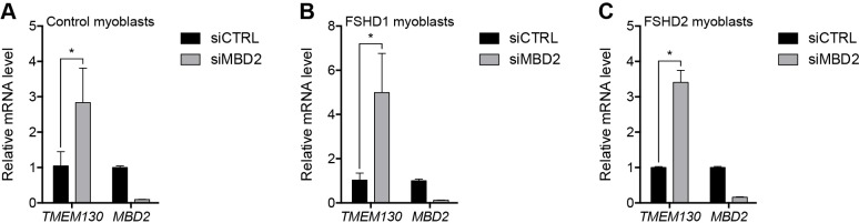 Figure 2—figure supplement 5.