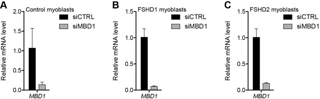 Figure 3—figure supplement 2.