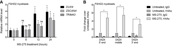 Figure 2—figure supplement 2.