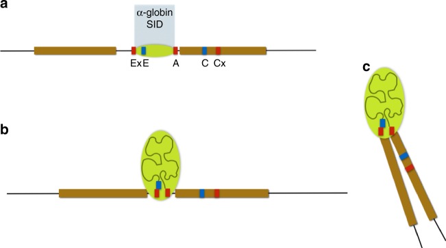 Fig. 6