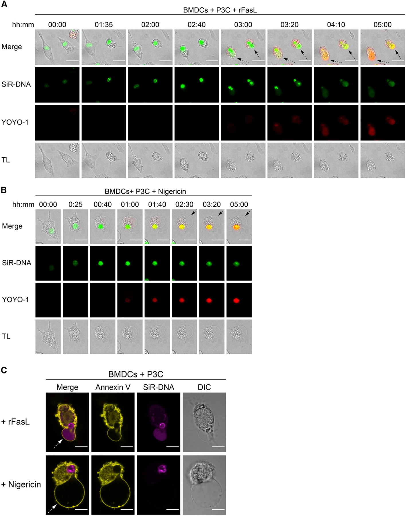 Figure 6.