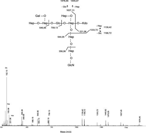 FIG. 6.