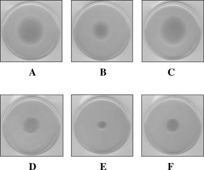 FIG. 8.