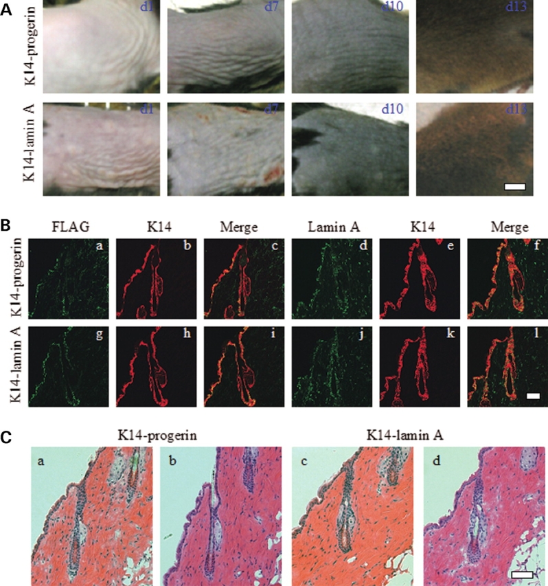 Figure 6.