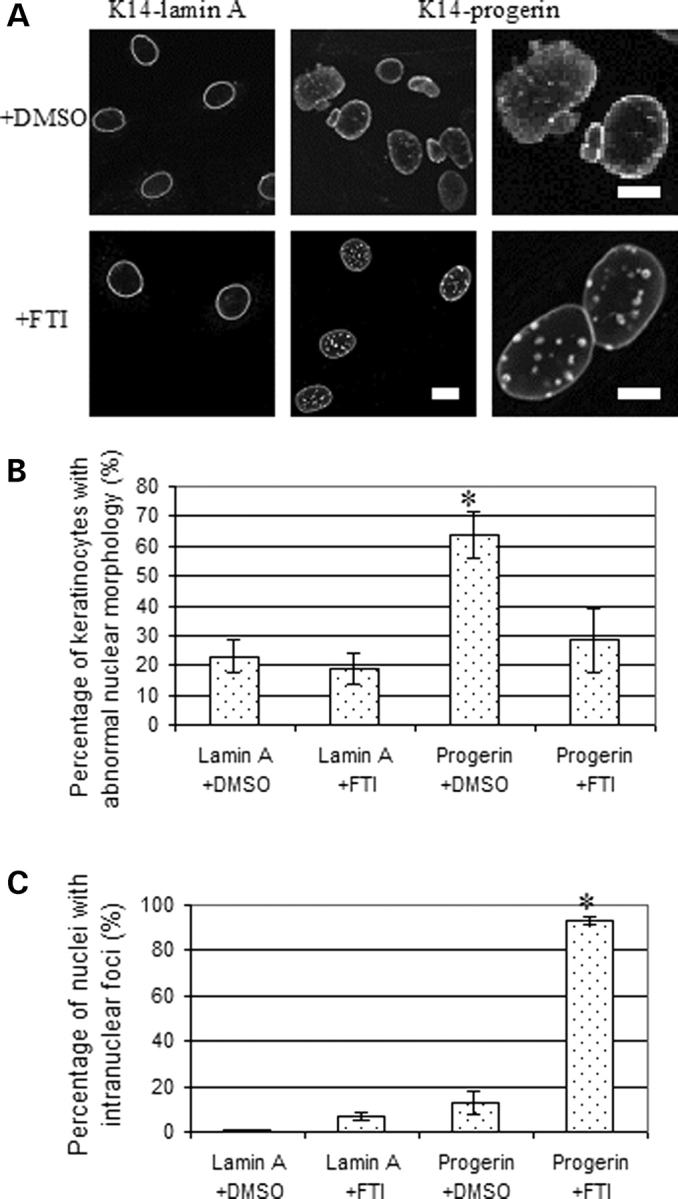 Figure 4.