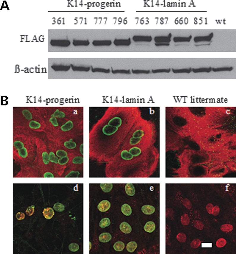 Figure 3.