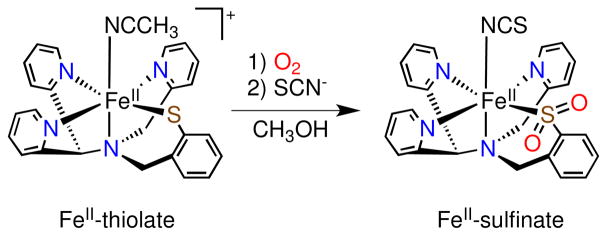 Scheme 3