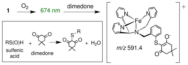 Scheme 4