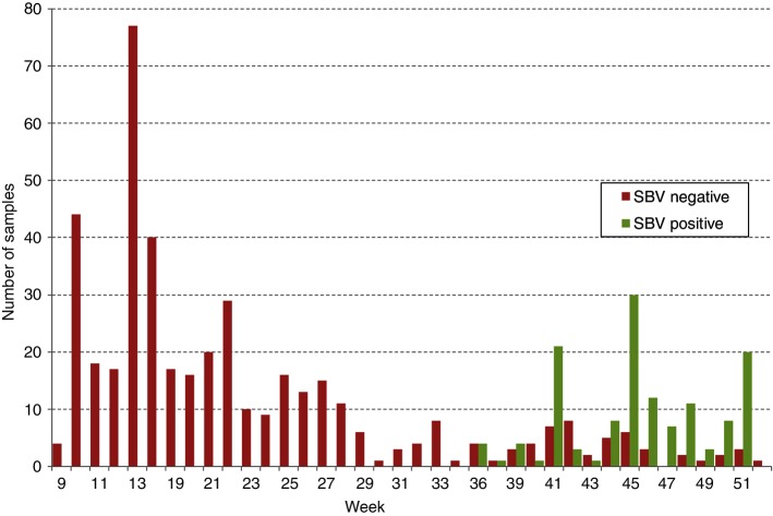 FIG 1: