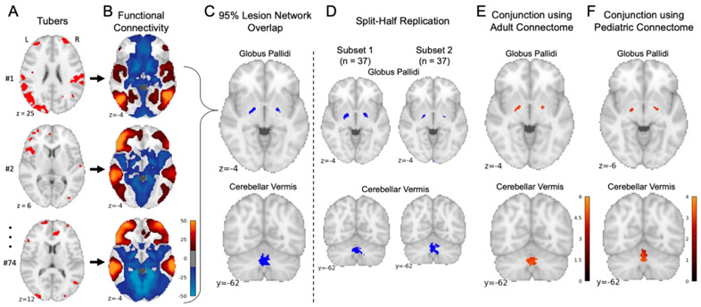 Figure 4 –