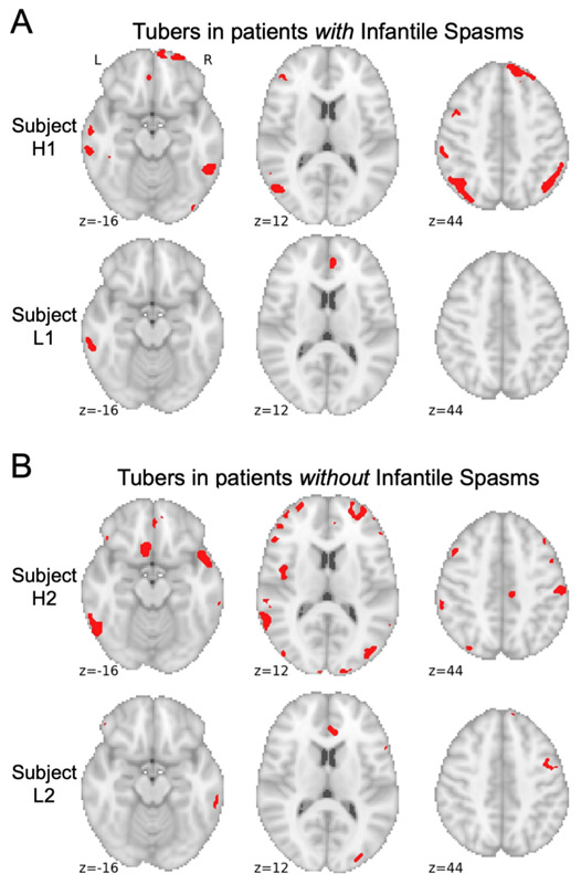 Figure 2 –