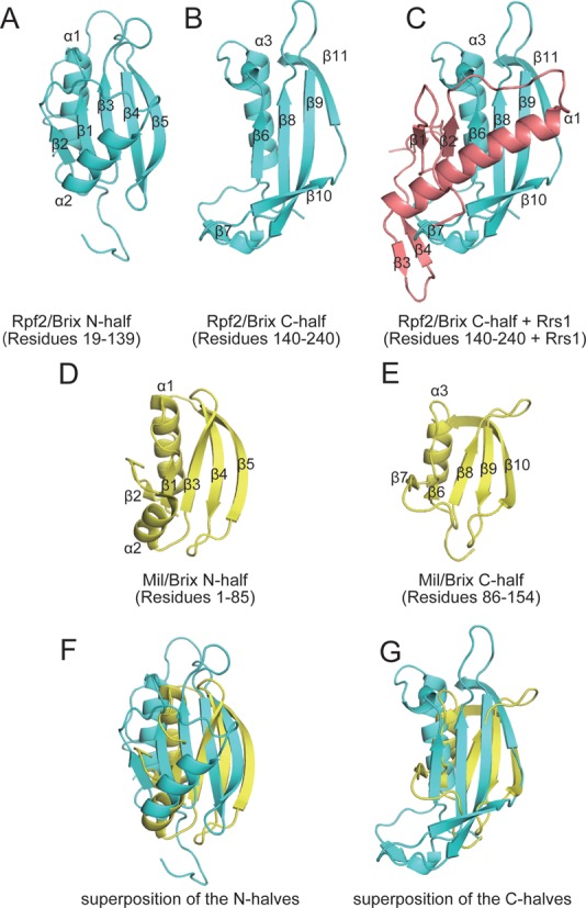 Figure 5.