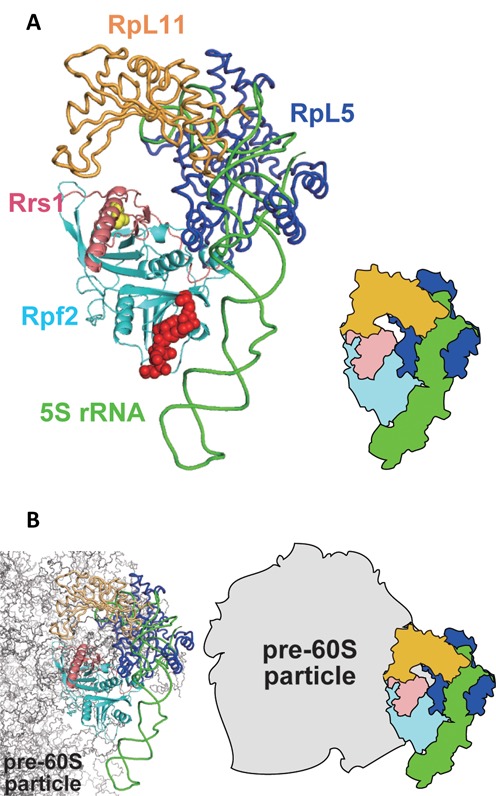 Figure 6.