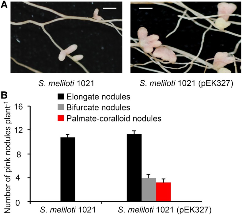 Figure 12.