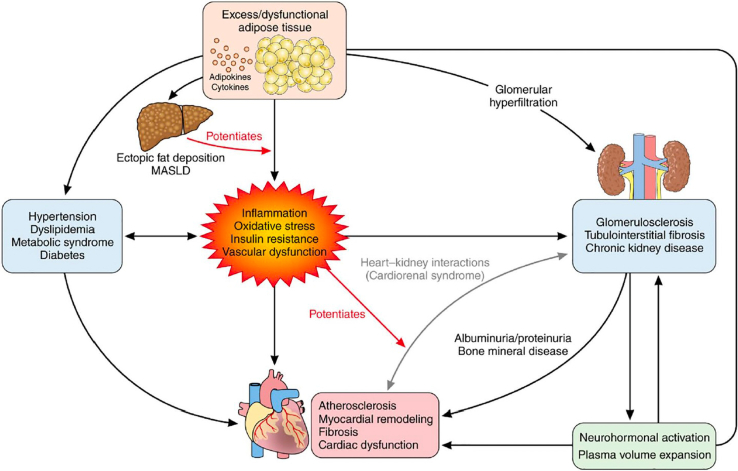 Figure 1