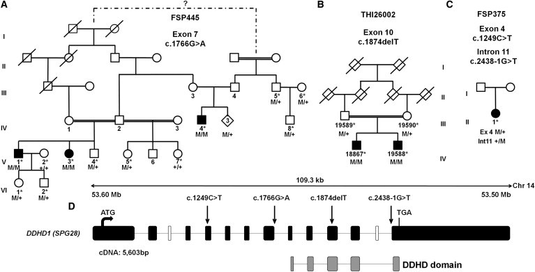 Figure 1