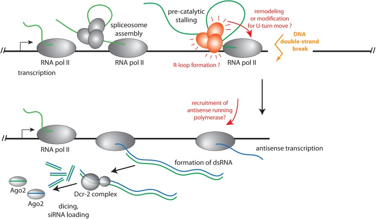 Fig 6