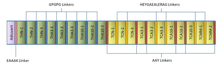 Fig. 5