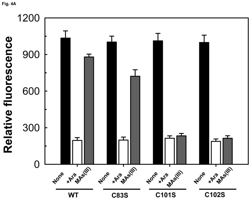 Fig. 4