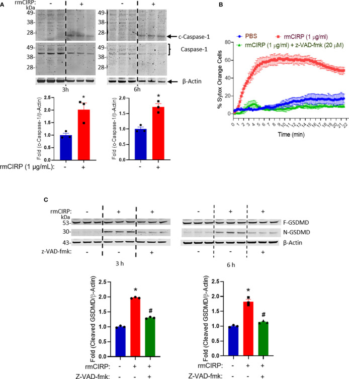 Figure 6