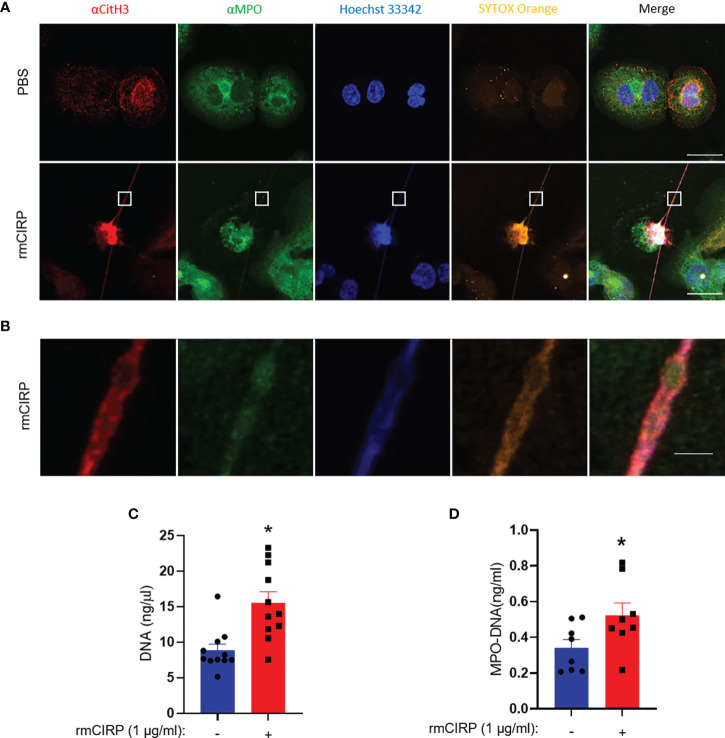 Figure 4