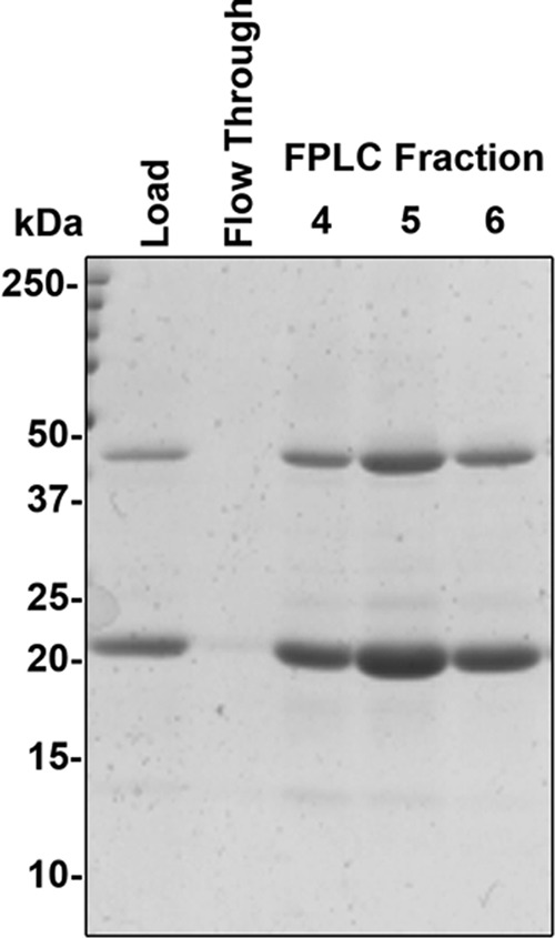 FIGURE 3.