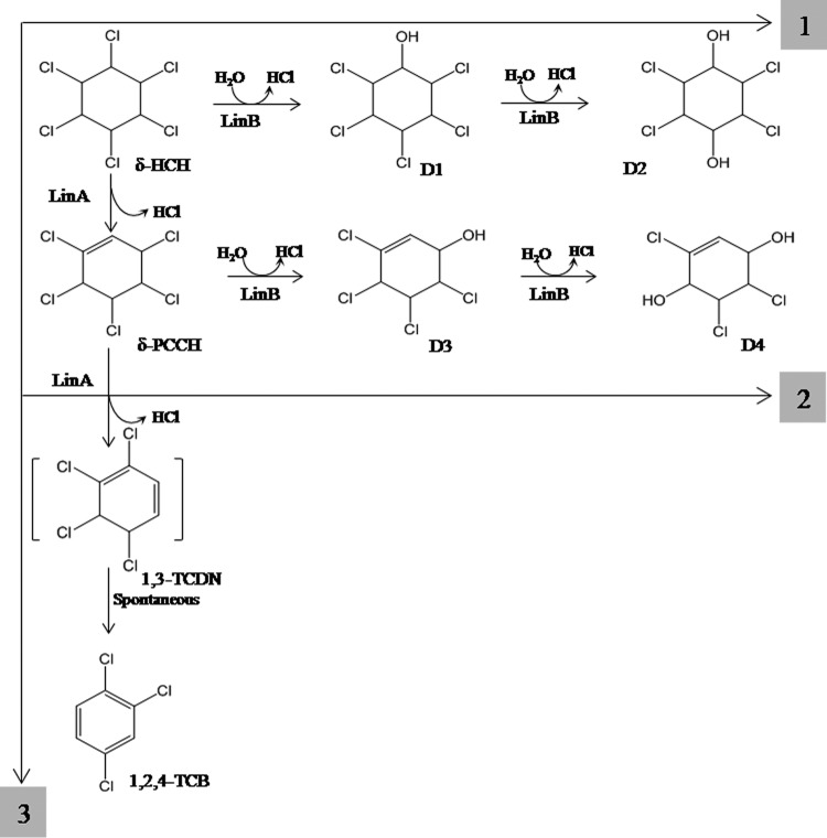 FIG 1