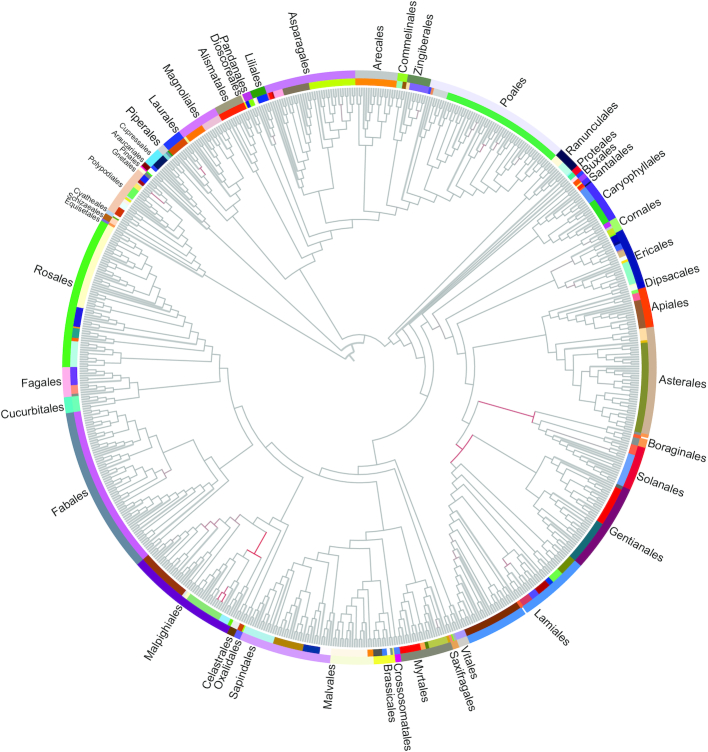 Figure 2: