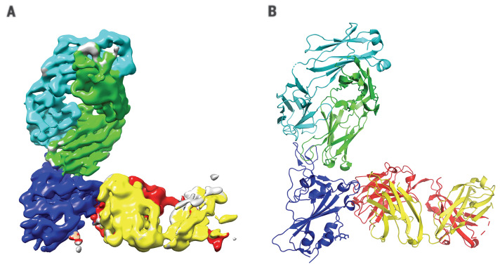 Fig. 4