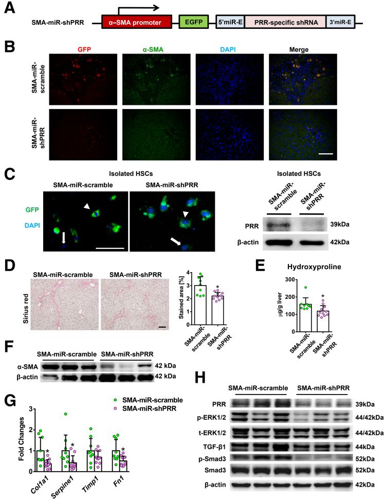 Figure 11