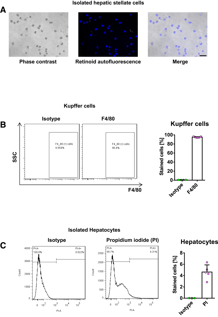 Figure 17