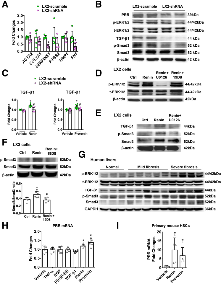 Figure 10