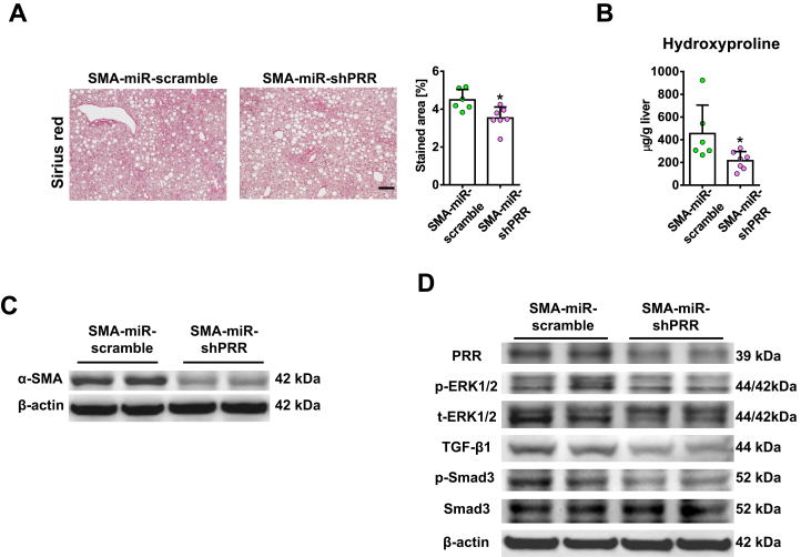 Figure 13