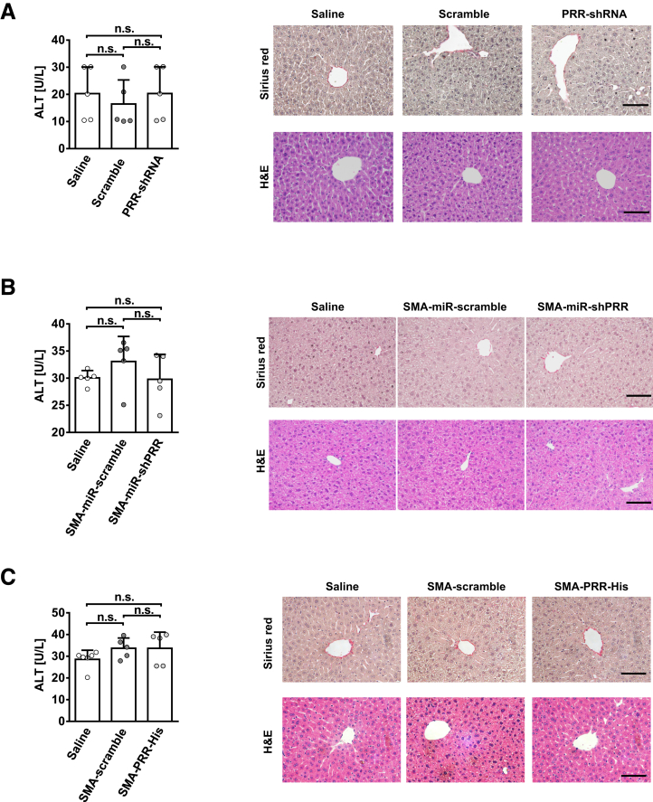 Figure 16