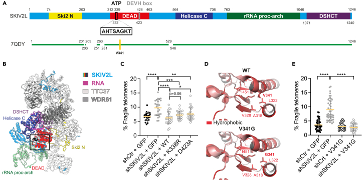 Figure 3