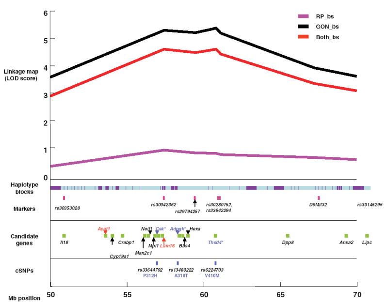 Fig. 3