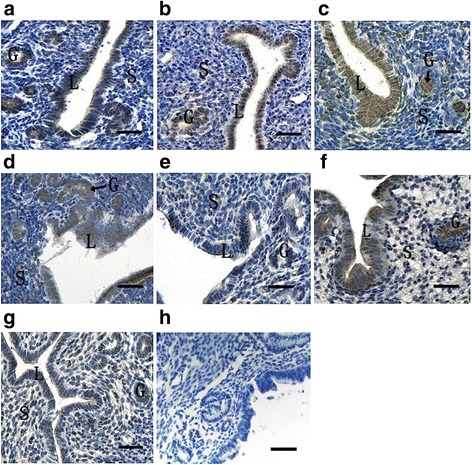 Fig. 8