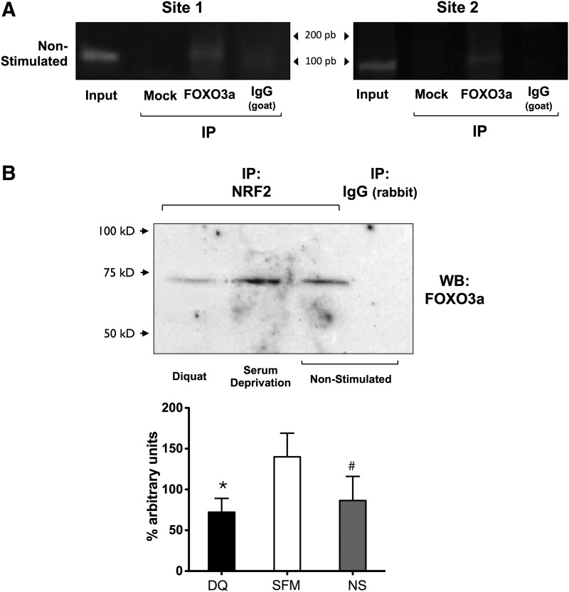 FIG. 14.