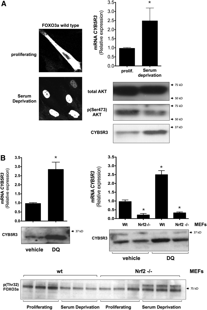 FIG. 8.