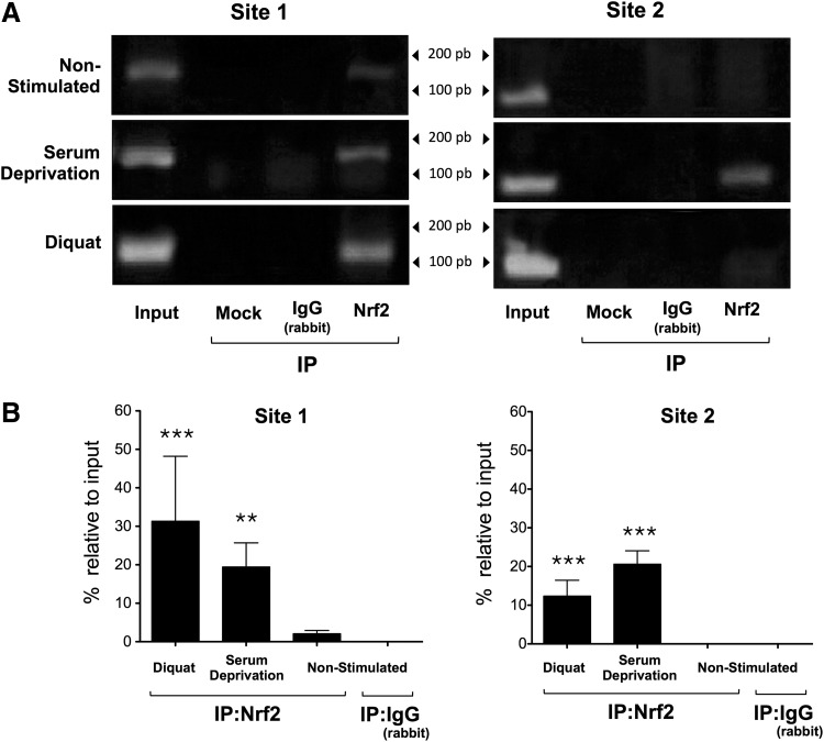 FIG. 13.